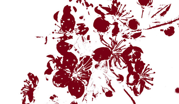 Abstract red blooming flowers on white background with flowers