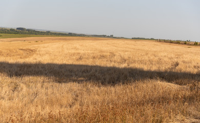 Landscapes and the singularities of the South American Pampas