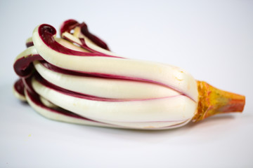 Trevisiano radicicchio auf weißem Hintergrund © Dagmar Breu
