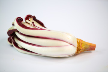 Trevisiano radicicchio auf weißem Hintergrund © Dagmar Breu