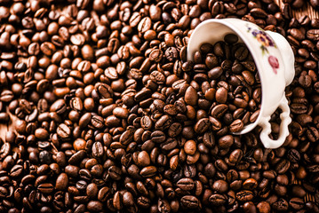Fresh coffee beans with white cup on wooden background.