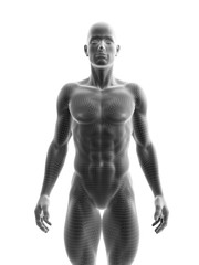 Fototapeta premium 3d rendered medically accurate illustration of a ripped male model