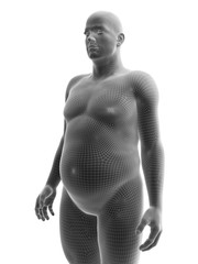Fototapeta premium 3d rendered medically accurate illustration of an obese male