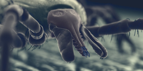 3d rendered illustration of a tick on human skin, sem style - obrazy, fototapety, plakaty