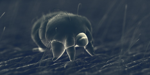 3d rendered illustration of a scabies mite on human skin, sem style