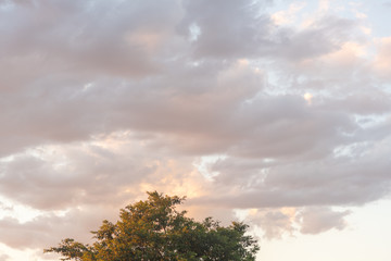 Obraz premium Late afternoon and sunset in southern Latin America