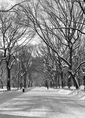 A black and white Winter view of Central Park in New York City.