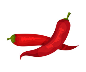 Red Hot Chilli Pepper, Fresh Organic Product, Culinary Ingredient Vector Illustration