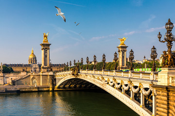 Pont Alexandre III-brug over de rivier de Seine in de zonnige zomerochtend. Brug versierd met sierlijke Art Nouveau-lampen en sculpturen. De Alexander III-brug over de rivier de Seine in Parijs, Frankrijk.