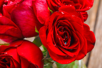 A close up macro shot of a red rose