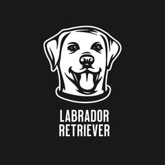 Labrador retriever head drawing. Vector illustration.