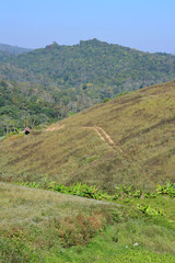 Fototapeta premium Summer mountain view in Thailand,High view beautiful nature landscape of the mountain sky and forest in the morning on the hilltop viewpoint at Phu Thap Berk attractions of Phetchabun Province Thailan