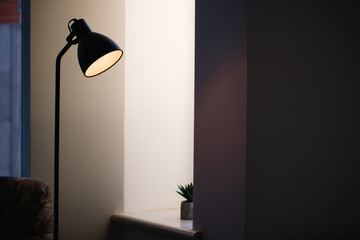 Black standing loft lamp in interior shining with edison bulb inside