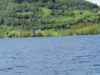Fototapeta na wymiar Views Around the Lake