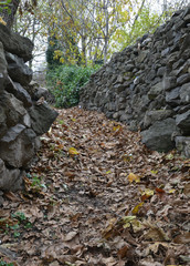 road through stone walls and autumn leaves