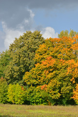 Die Oberlausitz im Herbst