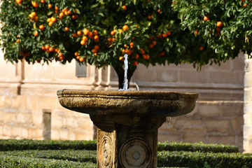 Stone fountain in front of an orange tree in an Andalusian park