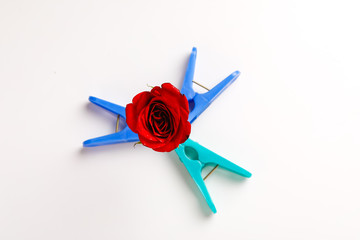 Gift box with beautiful red ribbon and rose, concept of Valentine's, anniversary, mother's day and birthday greeting, copyspace