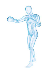 3d rendered illustration of a boxer