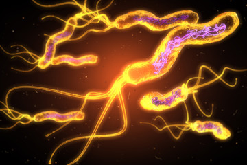 Helicobacter pylori bacterias, causing peptic ulcer disease, gastritis, 3D medically illustration