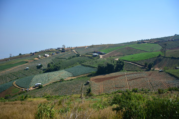Naklejka premium Summer mountain view in Thailand,High view beautiful nature landscape of the mountain sky and forest in the morning on the hilltop viewpoint at Phu Thap Berk attractions of Phetchabun Province Thailan