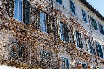 Rampicanti in vista su un palazzo con molte finestre 