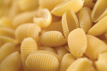 Gnocchetti - Gnocchetti Sardi - Pasta di Gragnano - Bronze die - Italian food specialty