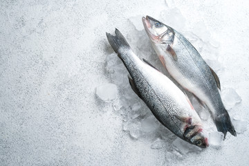 Fresh seabass fish on ice on light stone background, top view with copy space
