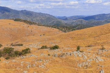 秋吉台　山口県美祢市　Akiyoshidai Yamaguchi Mine city