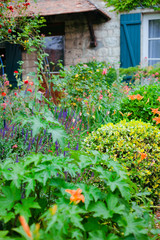 Fototapeta na wymiar Giverny. France. flowers in Monet's garden. Walk through the Monet Museum