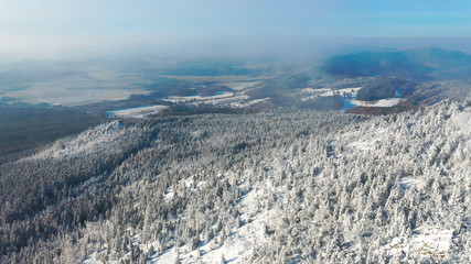Fototapeta na wymiar Aerial view of white spruce trees covered in fresh snow on sunny winter day in mountain, Liberec, Czech Republic