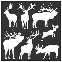Collection of silhouette Deers. Vector logo. Wildlife. Wild Deer. Vector illustration.