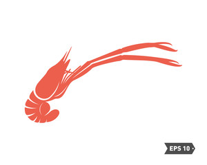 Obraz premium Shrimp logo design Vector. Isolated shrimp on white background. Prawns. Vector illustration.