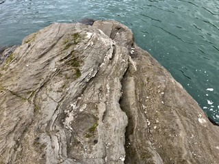 elongated stone riverbank covered with moss