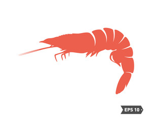 Shrimp logo design Vector. Isolated shrimp on white background. Prawns. Vector illustration.