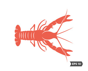 Shrimp logo design Vector. Isolated shrimp on white background. Prawns. Vector illustration.