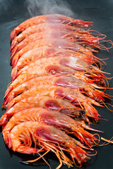 Gamba roja a la plancha.