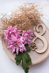 pink flowers on March 8 on a wooden background