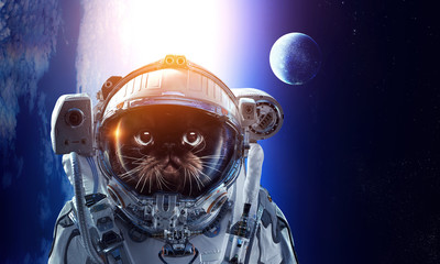 First trip to space. Mixed media