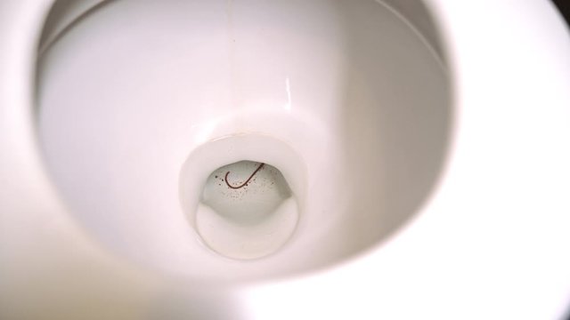 Worm In Toilet. Realistic situation (not staged) - camera shake. 4k