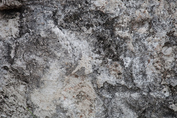Fototapeta na wymiar Rough weathered coquina limestone wall surface texture close up