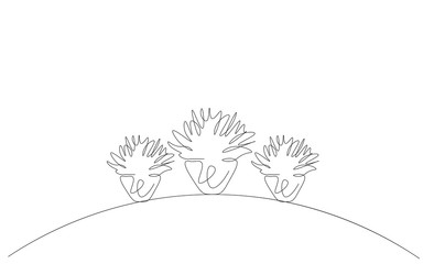 Plants in pot on table indoor vector illustration