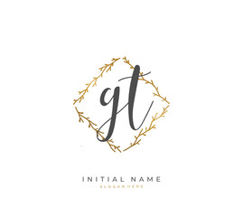Handwritten initial letter G T GT for identity and logo. Vector logo template with handwriting and signature style.