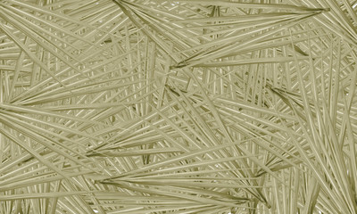 The green cane leaves are arranged beautifully with the spoon liner. Suitable for graphic.