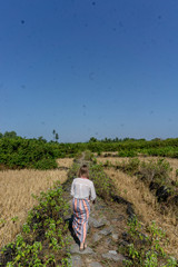 woman in the field in saint martin's island bangladesh