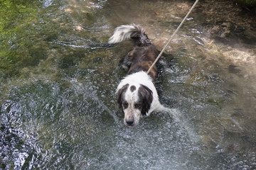 Fototapeta premium lake bled