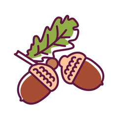 Acorn color line icon. Oak branch with leaves. Pictogram for web page, mobile app, promo. UI UX GUI design element. Editable stroke.