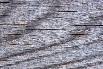 Naklejka premium Fine old dried board with amazing texture and natural color