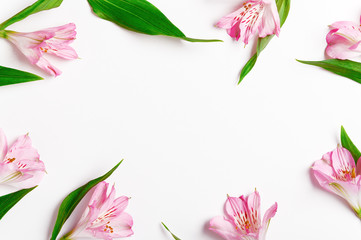 Scattered fresh lily flowers and leaves beautiful frame background. Natural composition with pink alstroemeria on white. Romantic spring blossom. Botanical border with copy space.