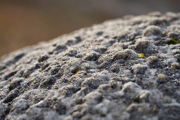 Sedimentary rocks in the natural park